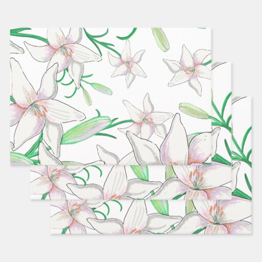 Illustration Geschenkpapier Set (Set)