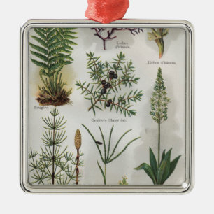 Illustration im "" MONTAG DOCTEUR " Ornament Aus Metall
