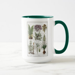 Illustration im "" MONTAG DOCTEUR " Tasse