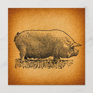 Illustration im Vintage-Western-Stil mit antiker S Einladung