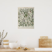 Illustration Medizinischer Pflanzen Vintage-Druck Poster (Küche)