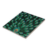 Illustration mit Pfau-Federn auf Schwarzem Fliese (Seite)