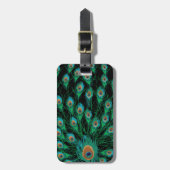 Illustration mit Pfau-Federn auf Schwarzem Gepäckanhänger (Vorderseite vertikal)