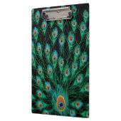 Illustration mit Pfau-Federn auf Schwarzem Klemmbrett (Links)