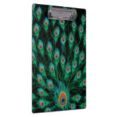 Illustration mit Pfau-Federn auf Schwarzem Klemmbrett (Rechts)