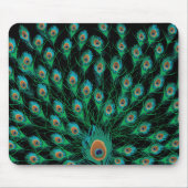 Illustration mit Pfau-Federn auf Schwarzem Mousepad (Vorne)