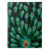 Illustration mit Pfau-Federn auf Schwarzem Notizblock (Vorderseite)