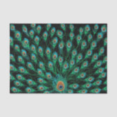 Illustration mit Pfau-Federn auf Schwarzem Seidenpapier (Vorderseite)