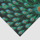 Illustration mit Pfau-Federn auf Schwarzem Seidenpapier (Ausschnitt)