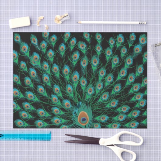 Illustration mit Pfau-Federn auf Schwarzem Seidenpapier (Handwerk)