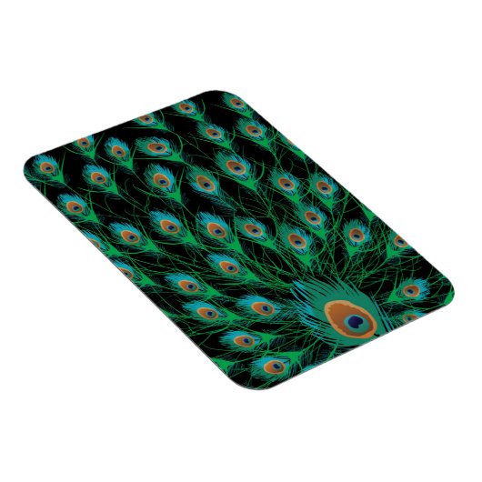 Illustration mit Pfauenfedern auf schwarz Magnet (Rechte Seite)