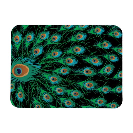 Illustration mit Pfauenfedern auf schwarz Magnet (Horizontal)