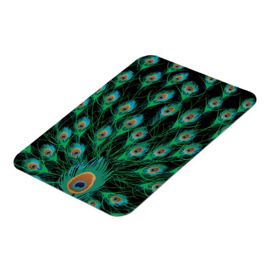 Illustration mit Pfauenfedern auf schwarz Magnet (Linke Seite)