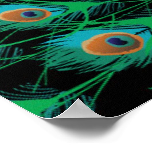 Illustration mit Pfauenfedern auf schwarz Poster (Ecke)