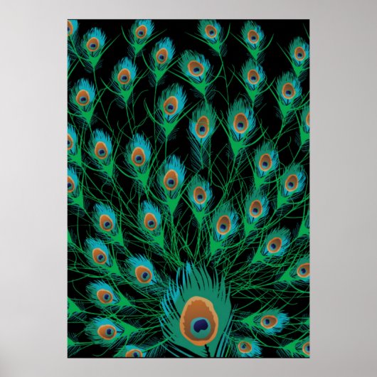 Illustration mit Pfauenfedern auf schwarz Poster (Vorne)