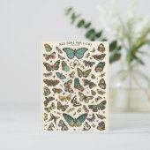 Illustration nos bons papillons postkarte (Stehend Vorderseite)