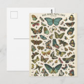 Illustration nos bons papillons postkarte (Vorne/Hinten)