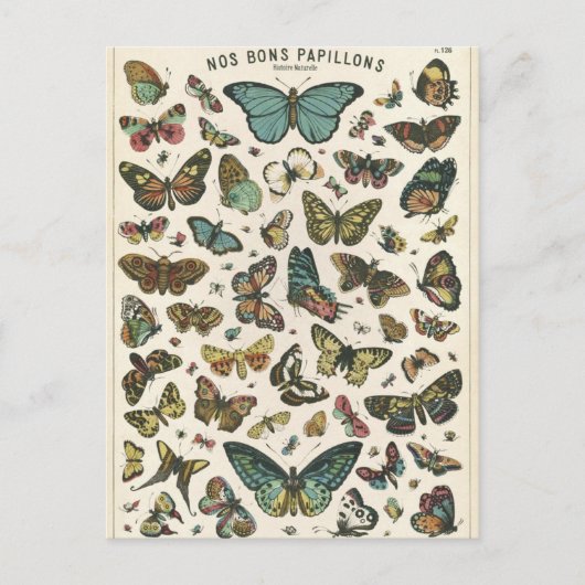 Illustration nos bons papillons postkarte (Vorderseite)
