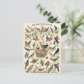 Illustration nos bons petits oiseaux postkarte (Stehend Vorderseite)