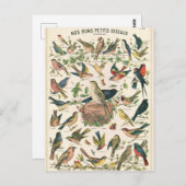 Illustration nos bons petits oiseaux postkarte (Vorne/Hinten)