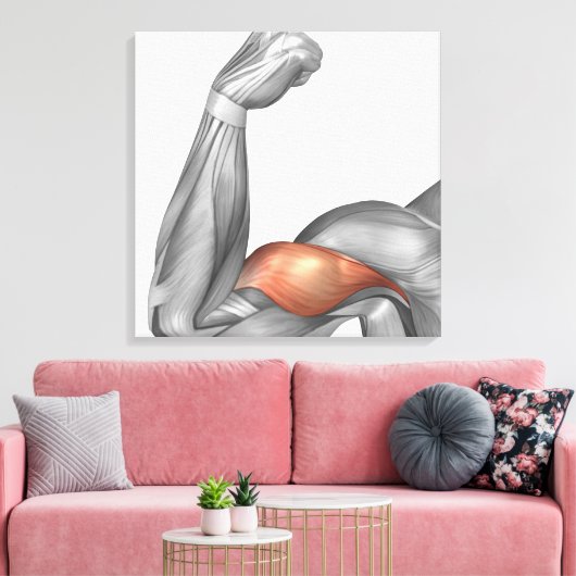 Illustration Of A Flexed Arm Showing Bicep Leinwanddruck (Insitu (Wohnzimmer))