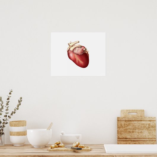 Illustration Of Human Heart Poster (Küche)