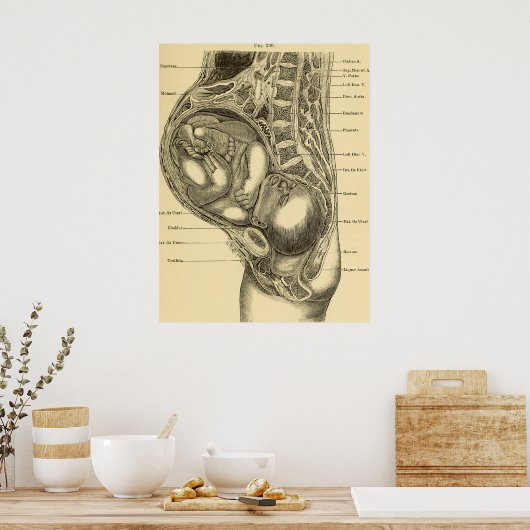 Illustration Poster (Küche)