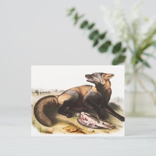 Illustration Postkarte (Stehend Vorderseite)