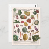 Illustration Postkarte (Vorne/Hinten)