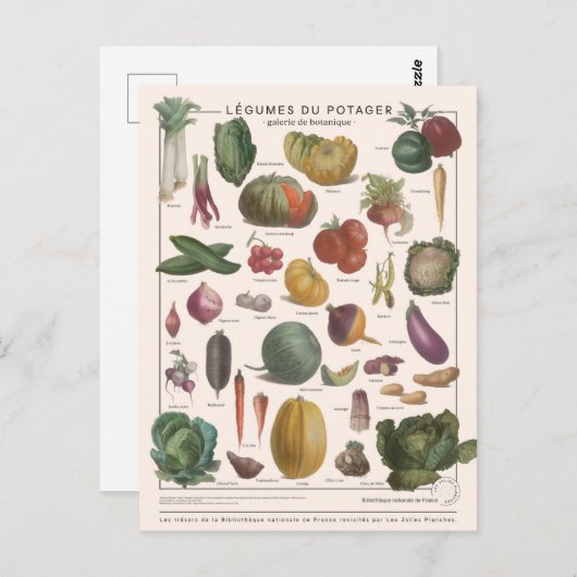 Illustration Postkarte (Vorne/Hinten)