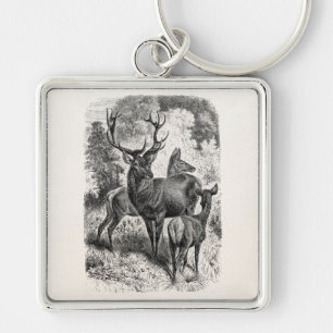 Illustration Rotwild Hirsch Weibchen Kalb 1800er V Schlüsselanhänger