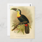 Illustration toucan postkarte (Vorne/Hinten)