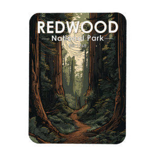 Illustration Trail des Redwood-Nationalparks Vinta Magnet