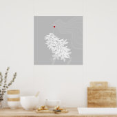 Illustration über die langhaarige botanische Minim Poster (Küche)