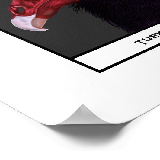 Illustration über neue Weltgeier Poster (Ecke)