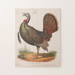 Illustration Vintag Wild Turkey (1872) Puzzle