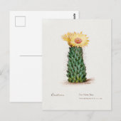 Illustration Vintager Bienenstock Postkarte (Vorne/Hinten)
