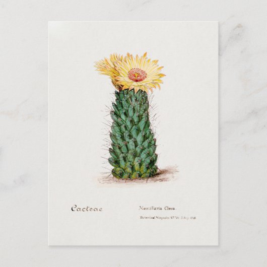 Illustration Vintager Bienenstock Postkarte (Vorderseite)