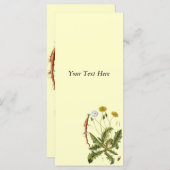 Illustration Vintager Löwenzahn (Vorne/Hinten)