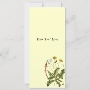 Illustration Vintager Löwenzahn