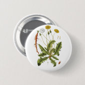 Illustration Vintager Löwenzahn Button (Vorne & Hinten)