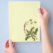 Illustration Vintager Löwenzahn Flyer (Hand)