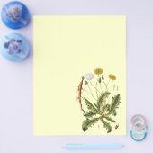 Illustration Vintager Löwenzahn Flyer (Einzeln)