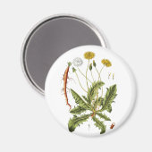 Illustration Vintager Löwenzahn Magnet (Vorderseite/Rückseite)