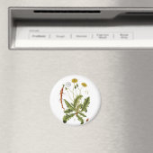 Illustration Vintager Löwenzahn Magnet (In Situ (Geschirrspüler))