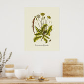 Illustration Vintager Löwenzahn Poster (Küche)