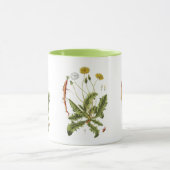 Illustration Vintager Löwenzahn Tasse (Zentrum)