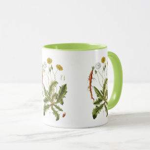 Illustration Vintager Löwenzahn Tasse