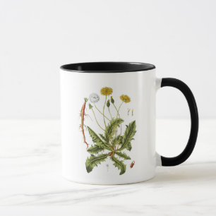 Illustration Vintager Löwenzahn Tasse