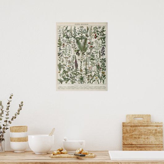 Illustration Vintager Pflanze Poster (Küche)